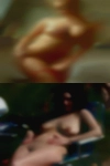 Free swinger groups Asheville